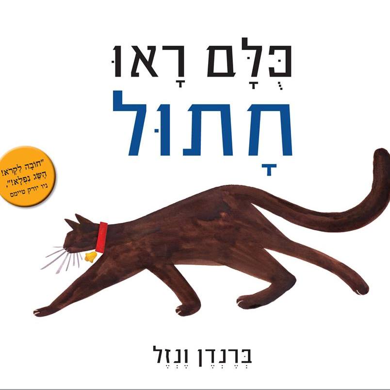 כולם ראו חתול