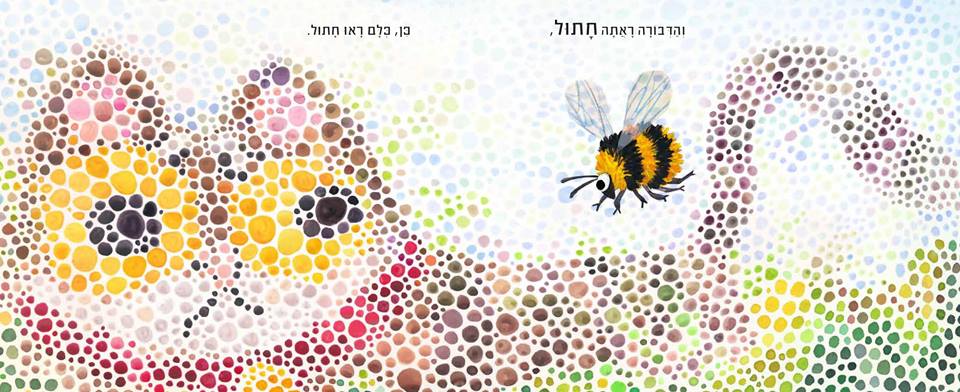 כולם ראו חתול