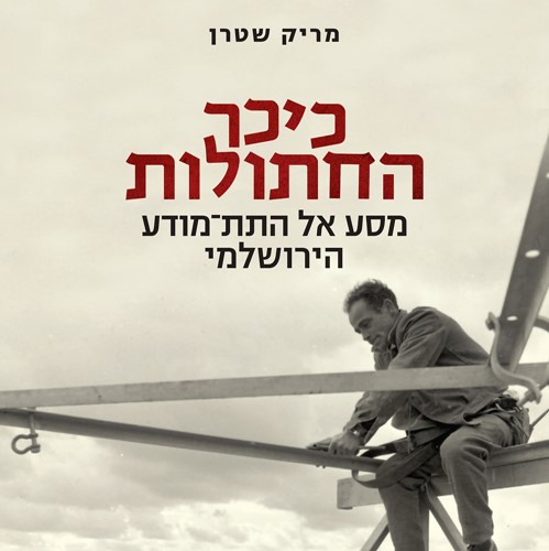כיכר החתולות