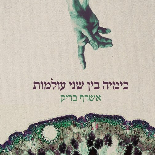 כימיה בין שני עולמות