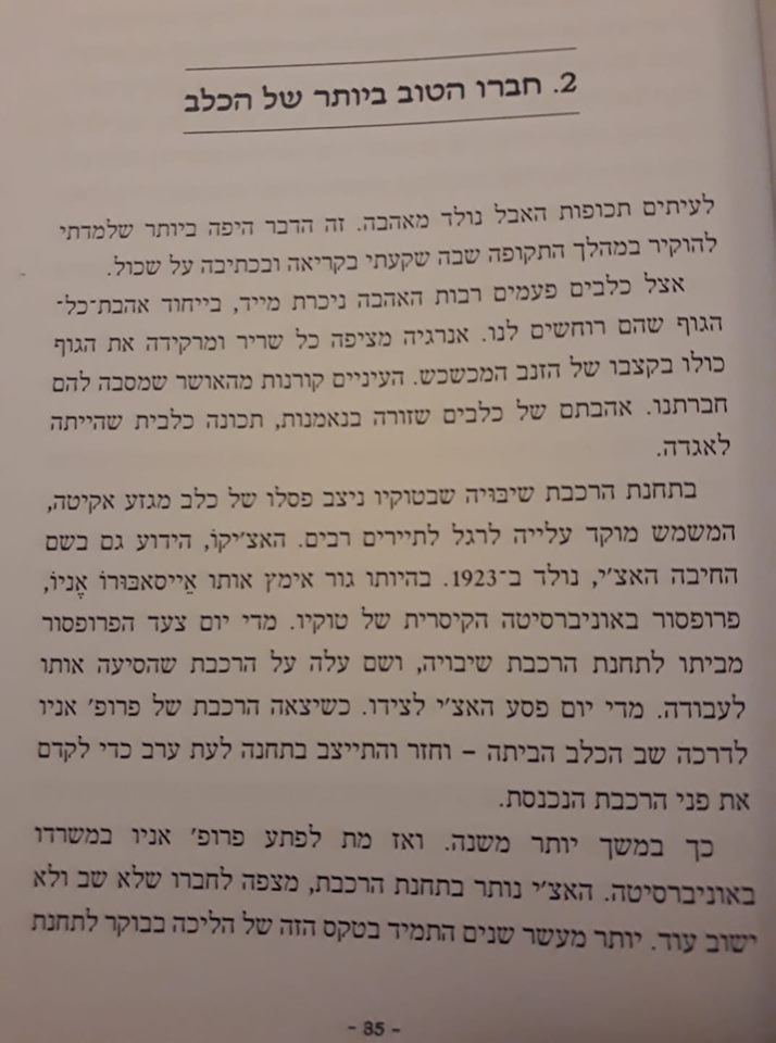 כיצד בעלי חיים מתאבלים