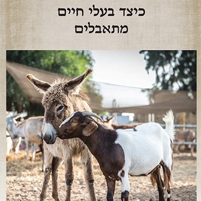 כיצד בעלי חיים מתאבלים
