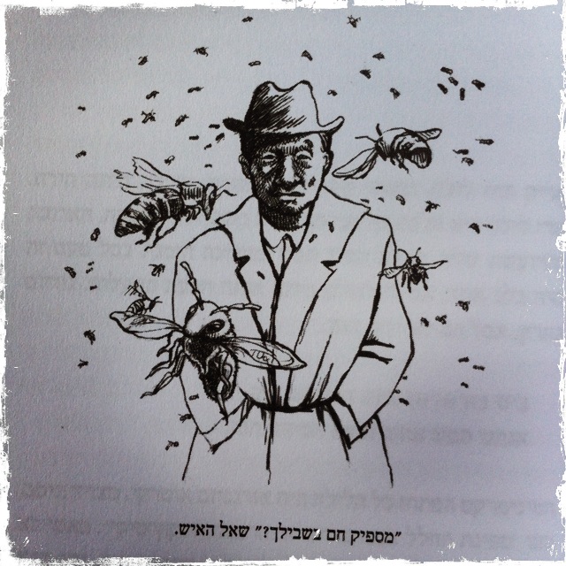 כישוף למתחילים