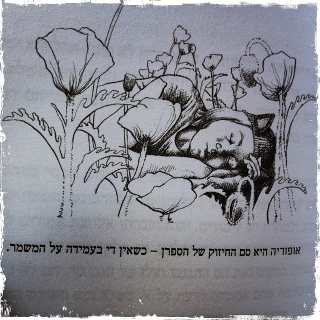 כישוף למתחילים