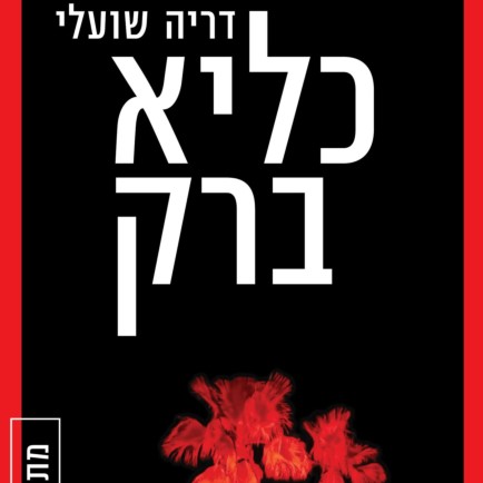 כליא ברק