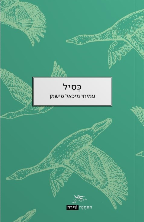 כסיל