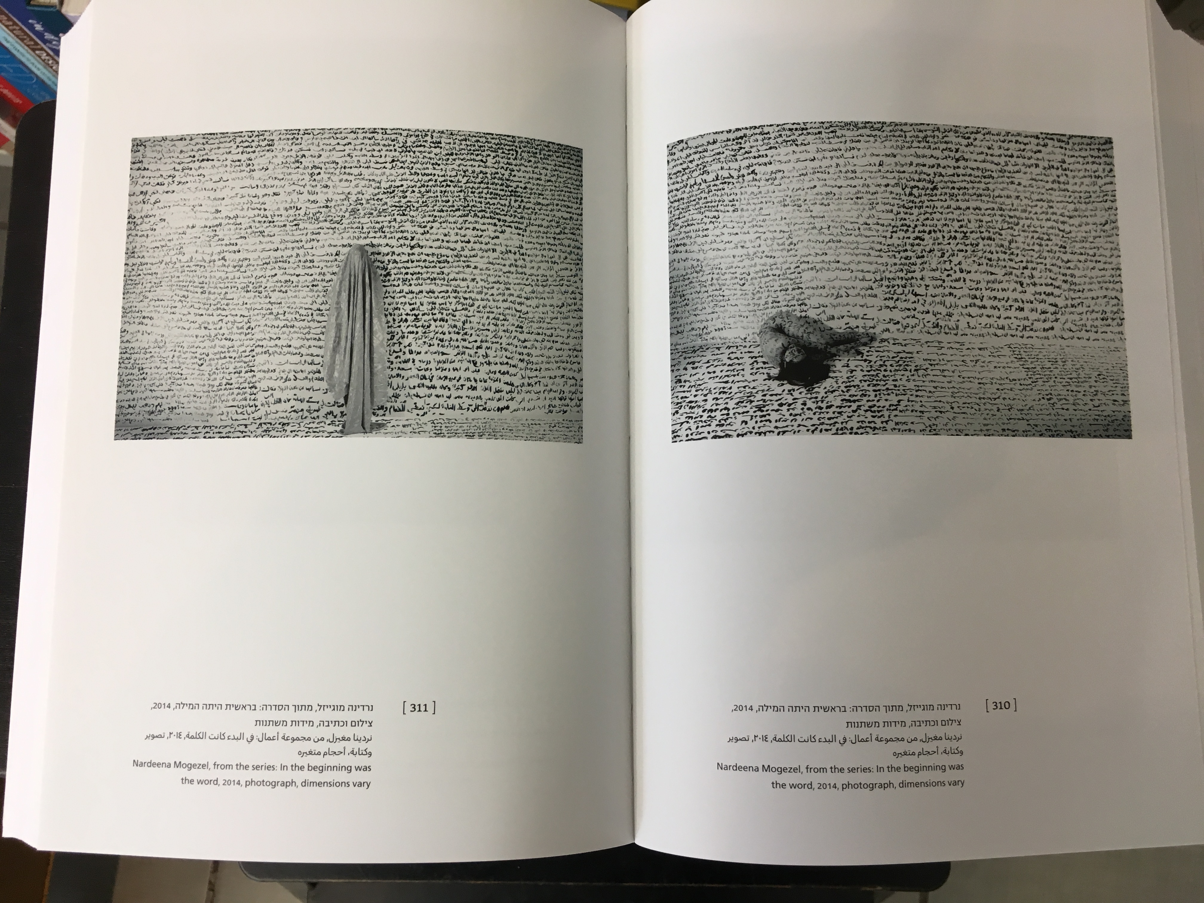 לאחותי - גזענות, סקסיזם והדרה מרובה בראי האמנות החזותית בישראל