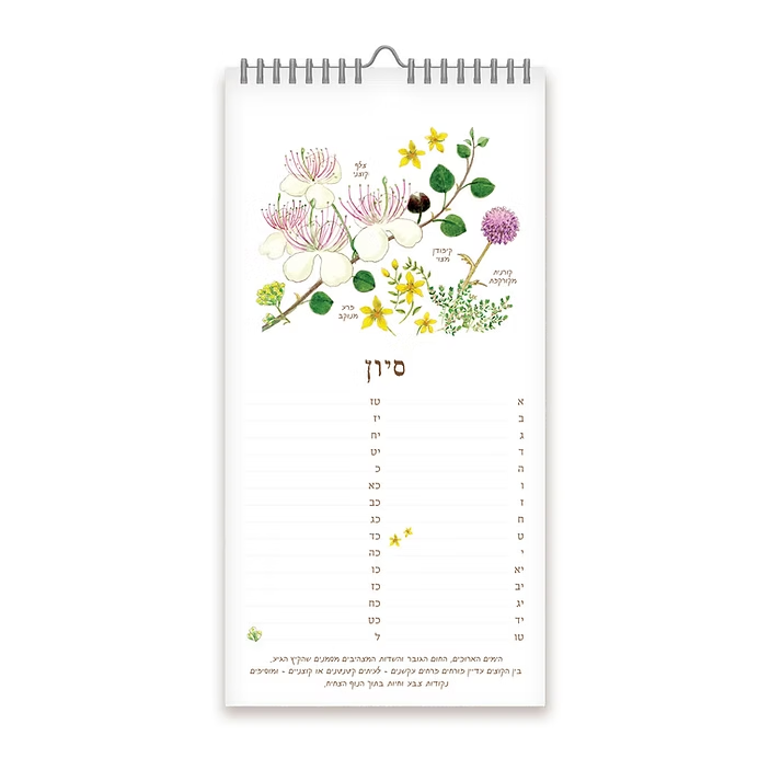 לוח עד שנה בגינה – פרחי בר מאוירים