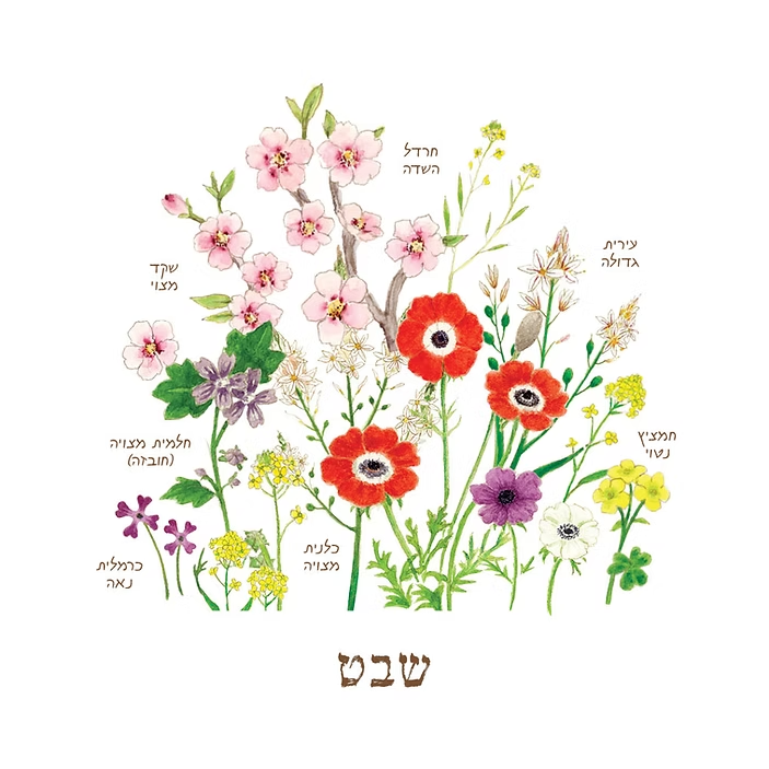 לוח עד שנה בגינה – פרחי בר מאוירים