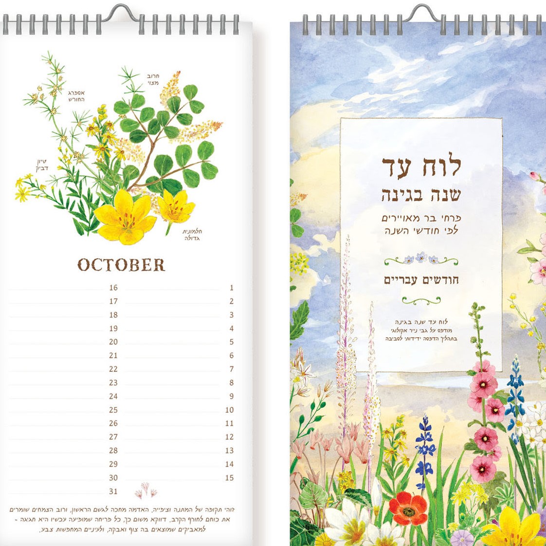 לוח עד שנה בגינה – פרחי בר מאוירים