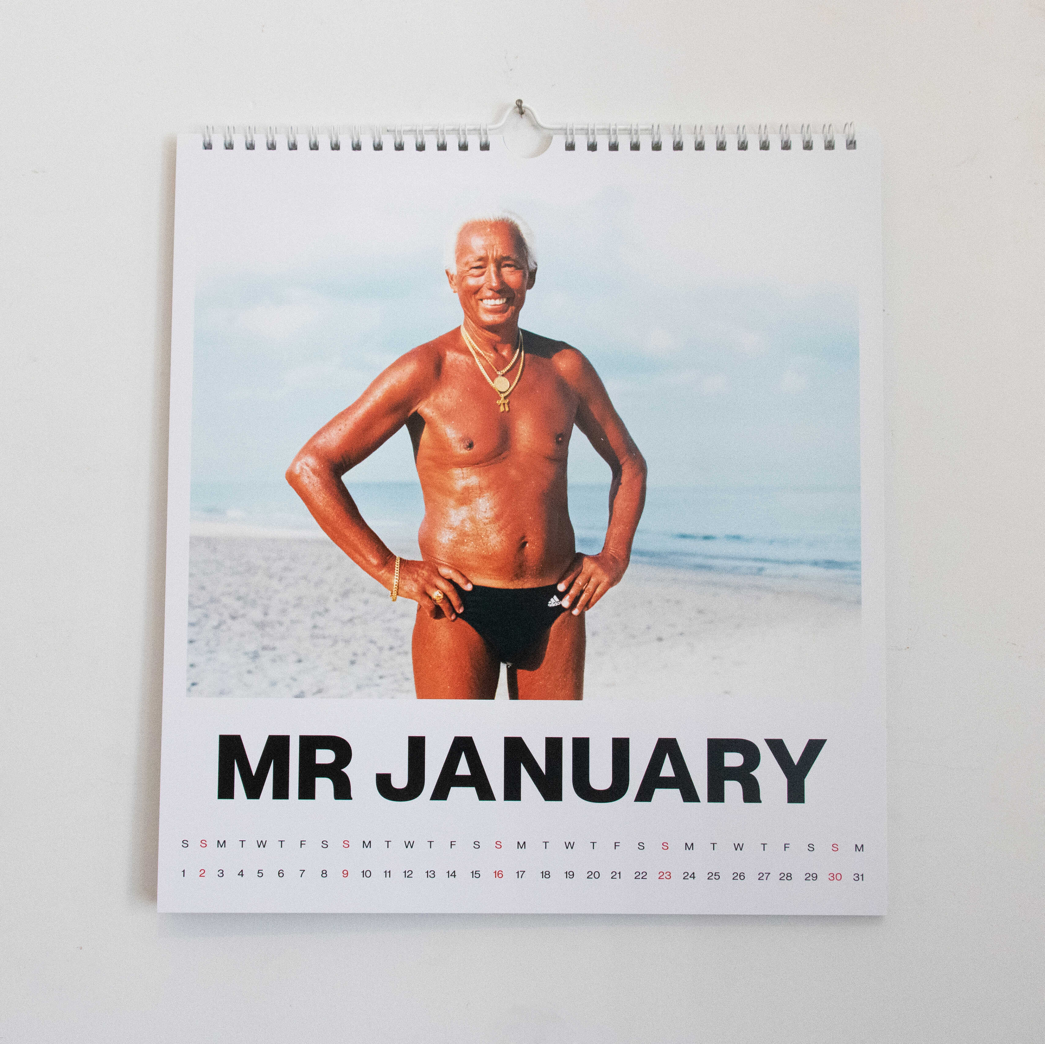 לוח שנה לועזי (תלייה) 2022  Swimsuit Edition אלכס פרפורי
