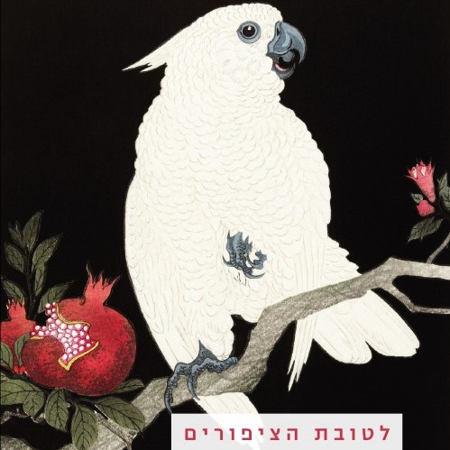 לטובת הציפורים