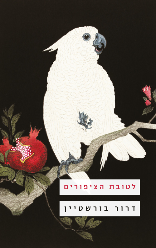 לטובת הציפורים