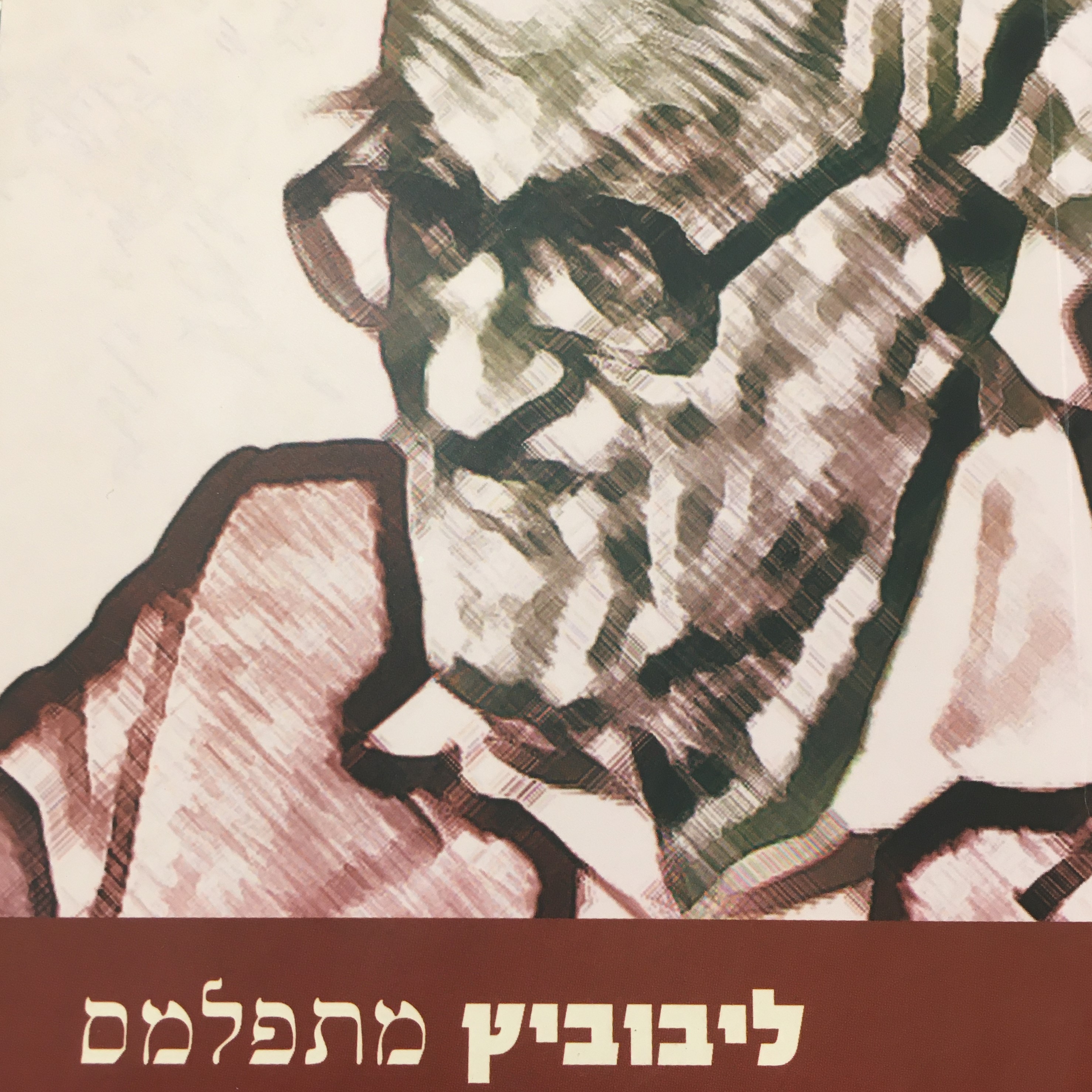 ליבוביץ מתפלמס