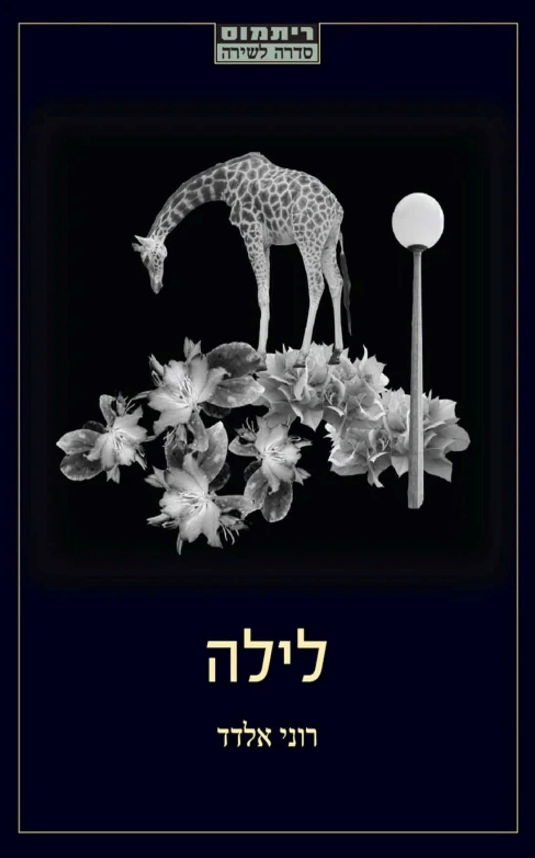 לילה