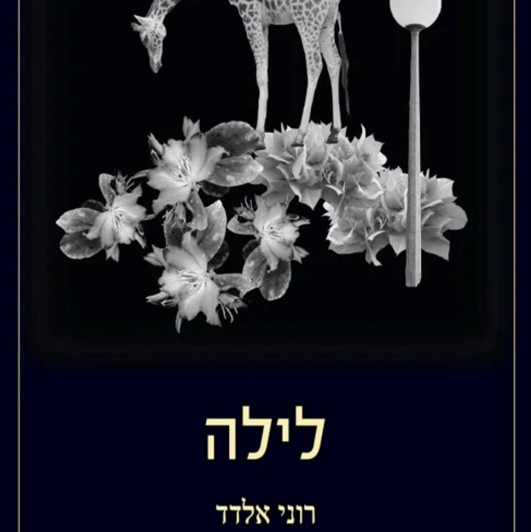 לילה