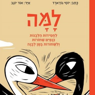 למה לחסידות הלבנות כנפים שחורות ולשחורות בטן לבנה