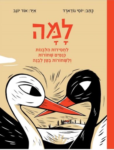 למה לחסידות הלבנות כנפים שחורות ולשחורות בטן לבנה