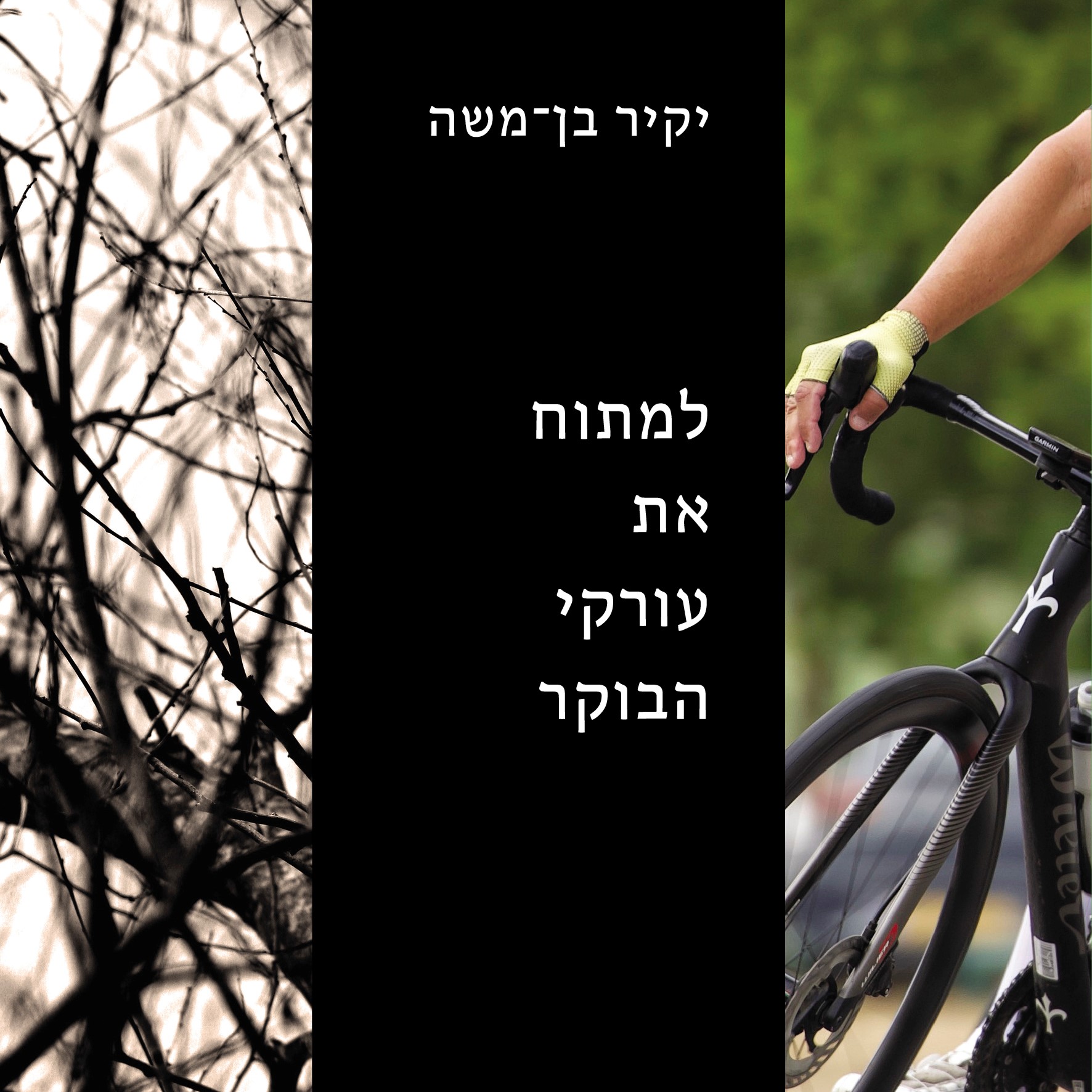 למתוח את עורקי הבוקר