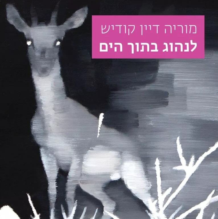 לנהוג בתוך הים