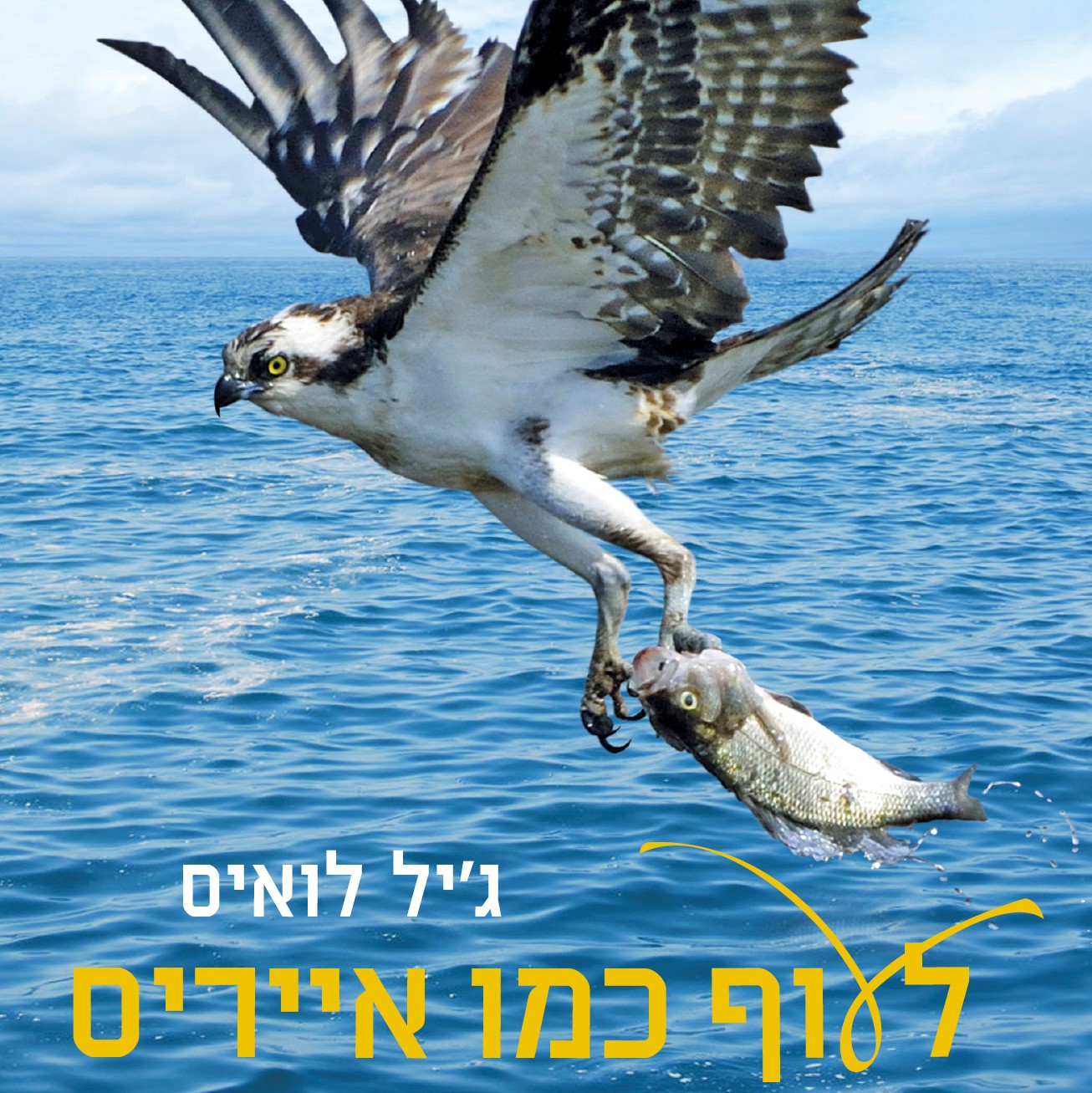 לעוף כמו אייריס