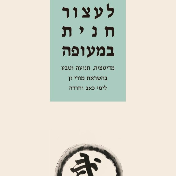 לעצור חנית במעופה