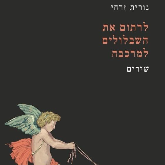 לרתום את השבלולים למרכבה