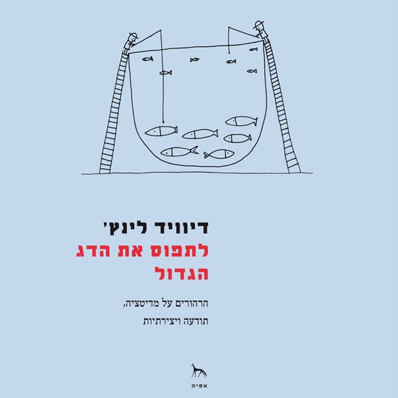 לתפוס את הדג הגדול