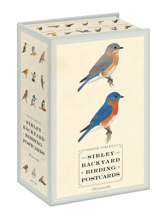 מארז גלויות Sibley Backyard Birding Postcards: 100 Postcards