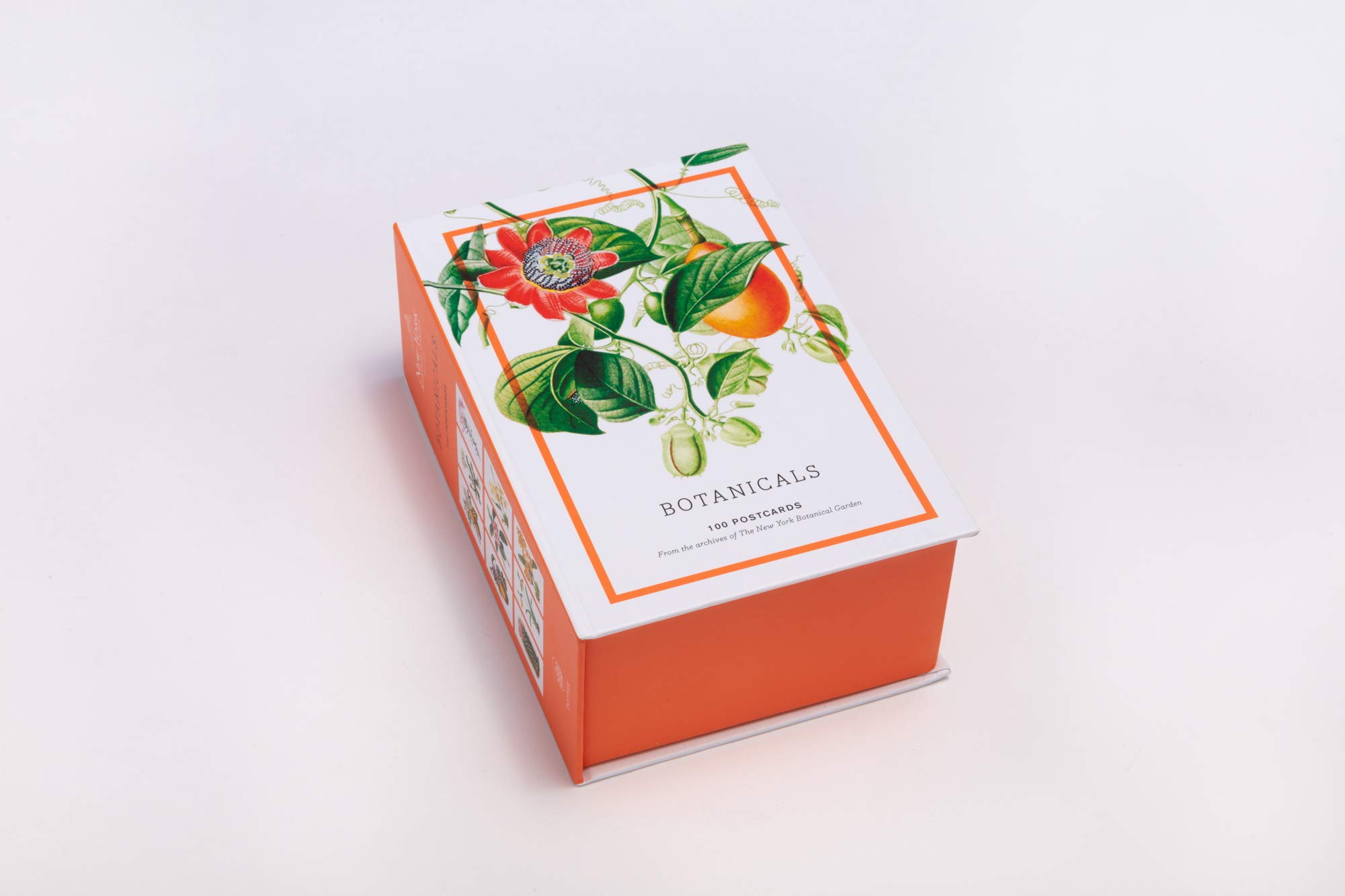 מארז 100 גלויות Botanicals