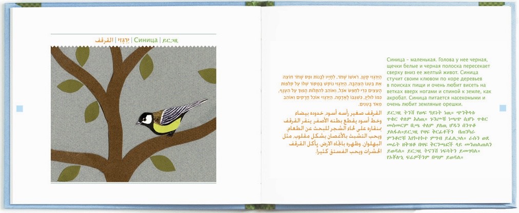 מגדיר ציפורים לילדים/ות ב-4 שפות