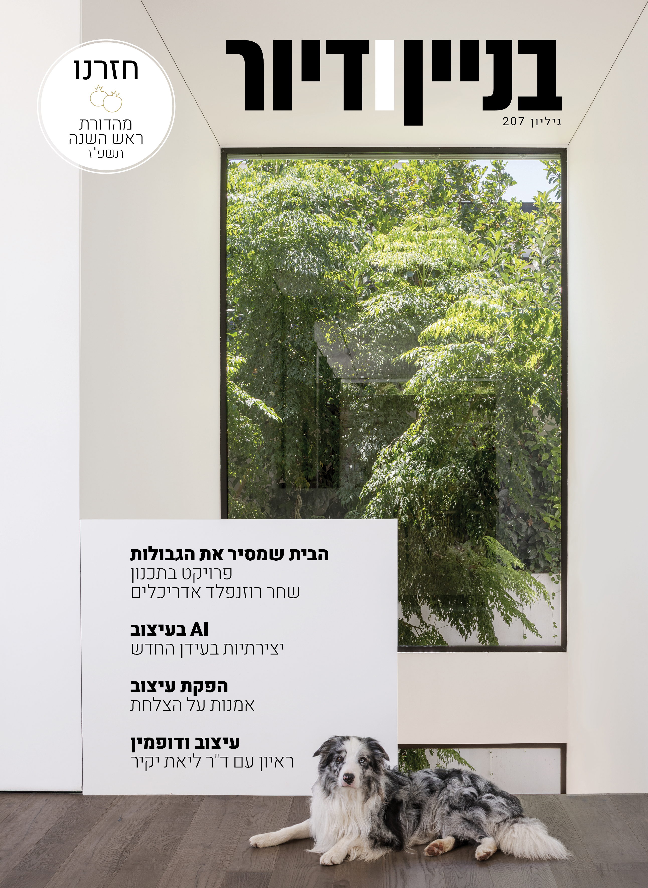 מגזין בניין ודיור גיליון 207