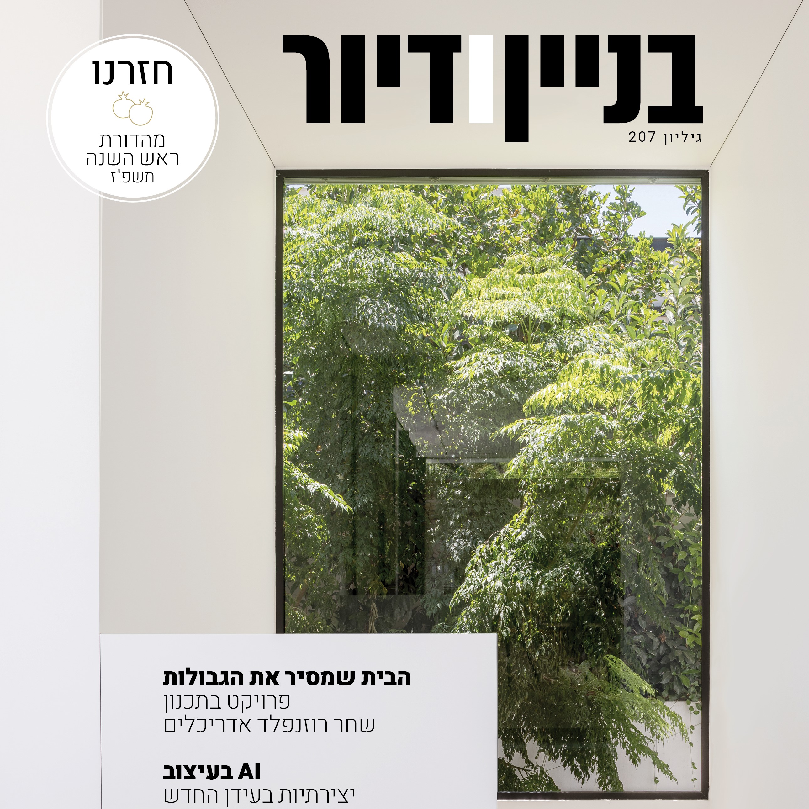מגזין בניין ודיור גיליון 207