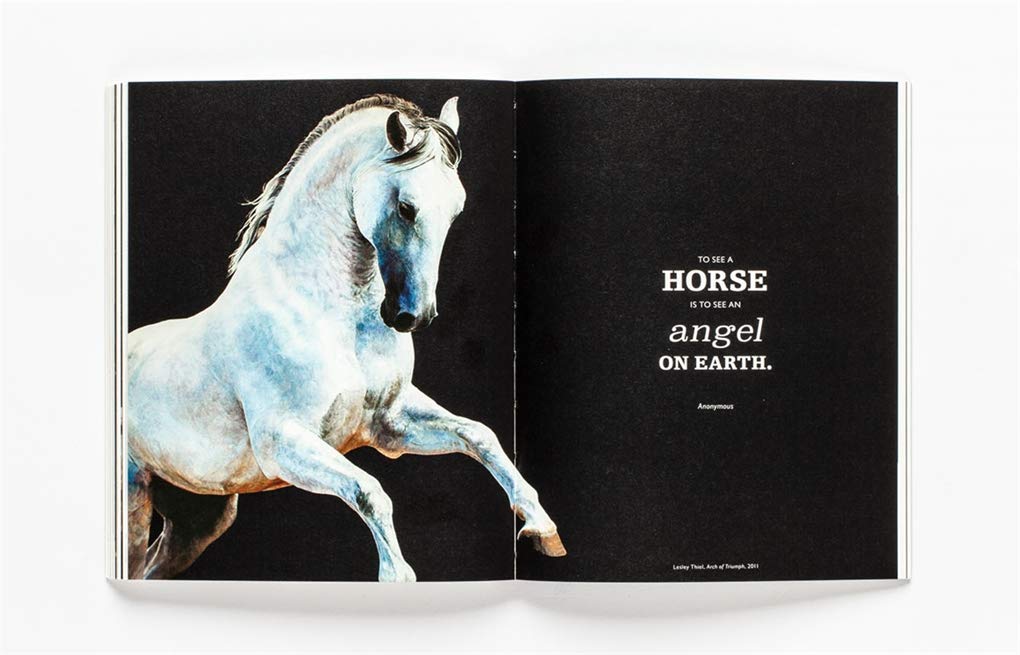 The Book of the Horse