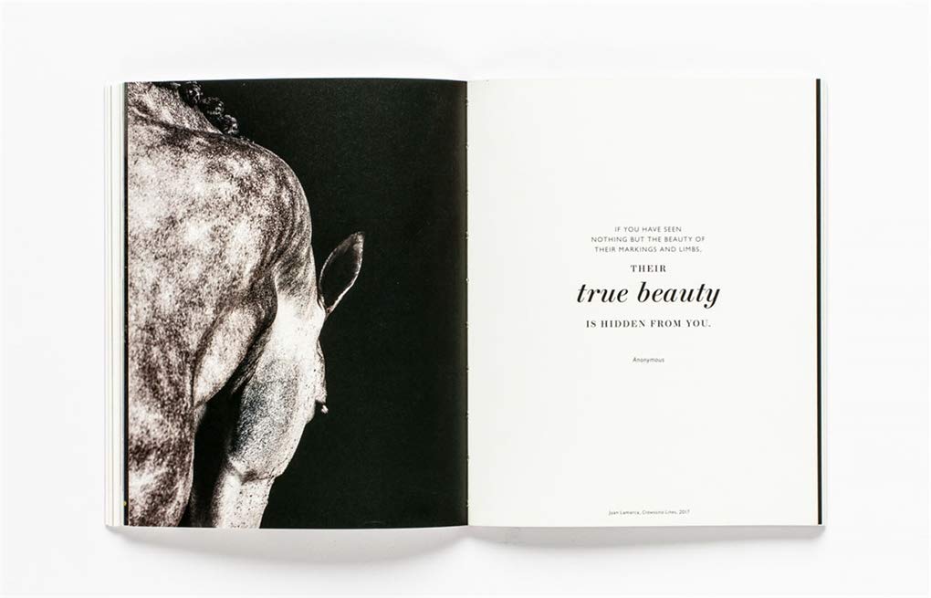 The Book of the Horse
