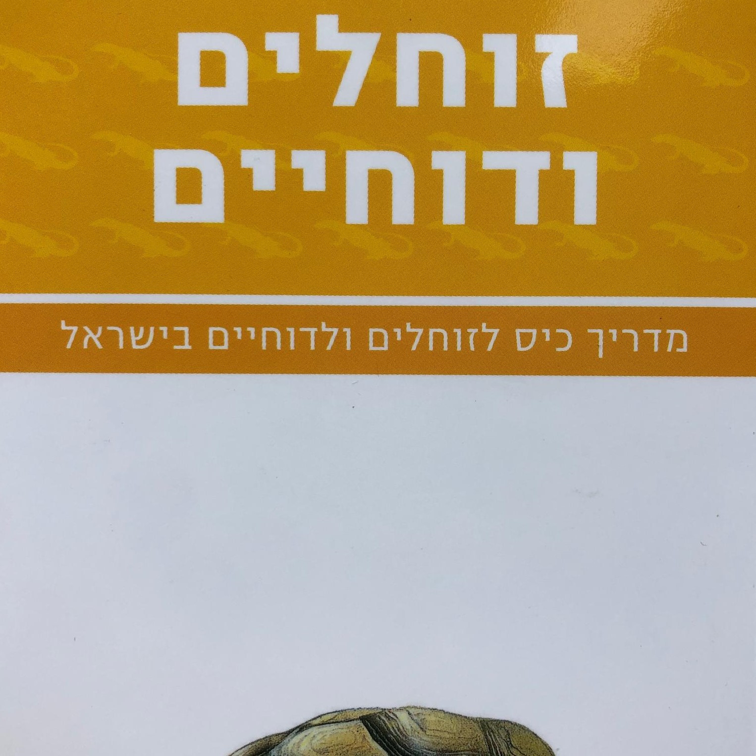 מדריך כיס לזוחלים ולדו-חיים בישראל