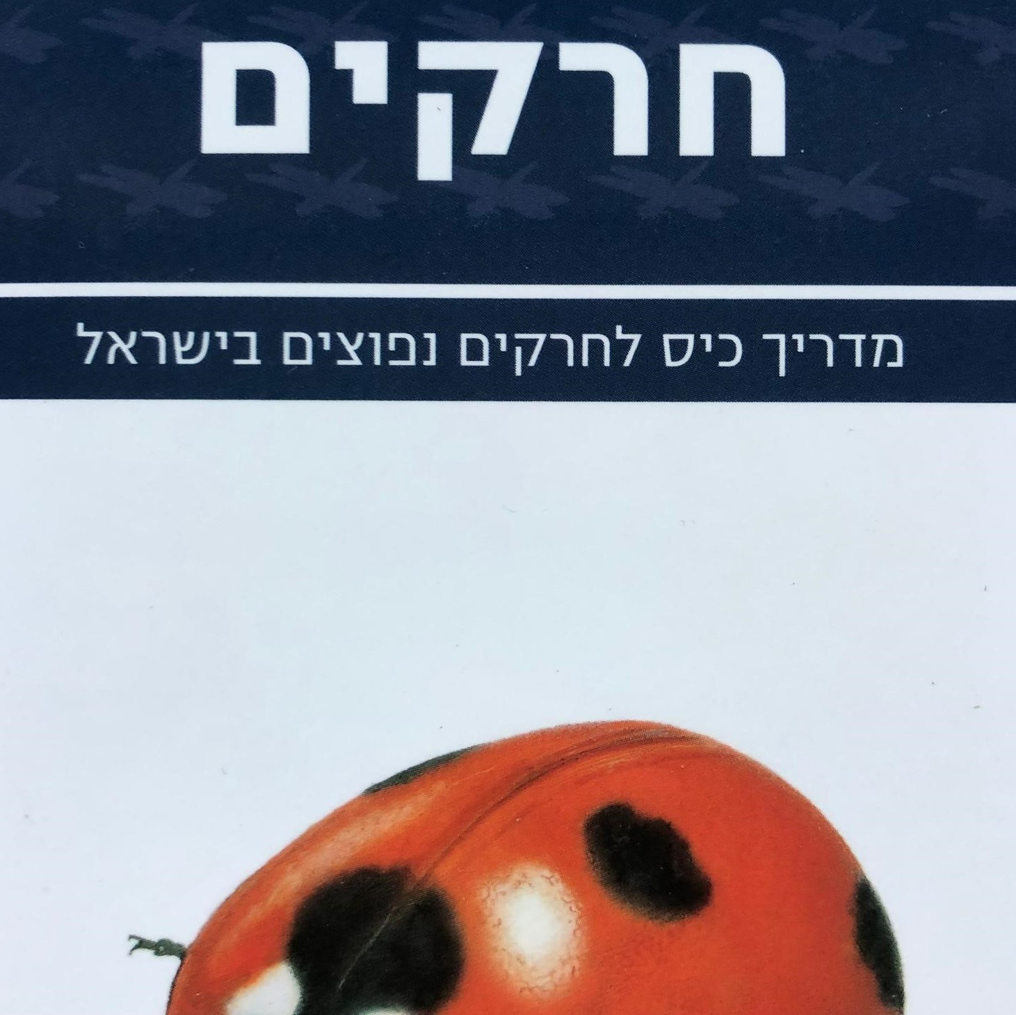 מדריך כיס לחרקים בישראל