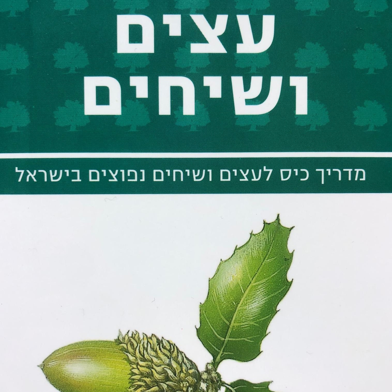 מדריך כיס לעצים ושיחים בישראל