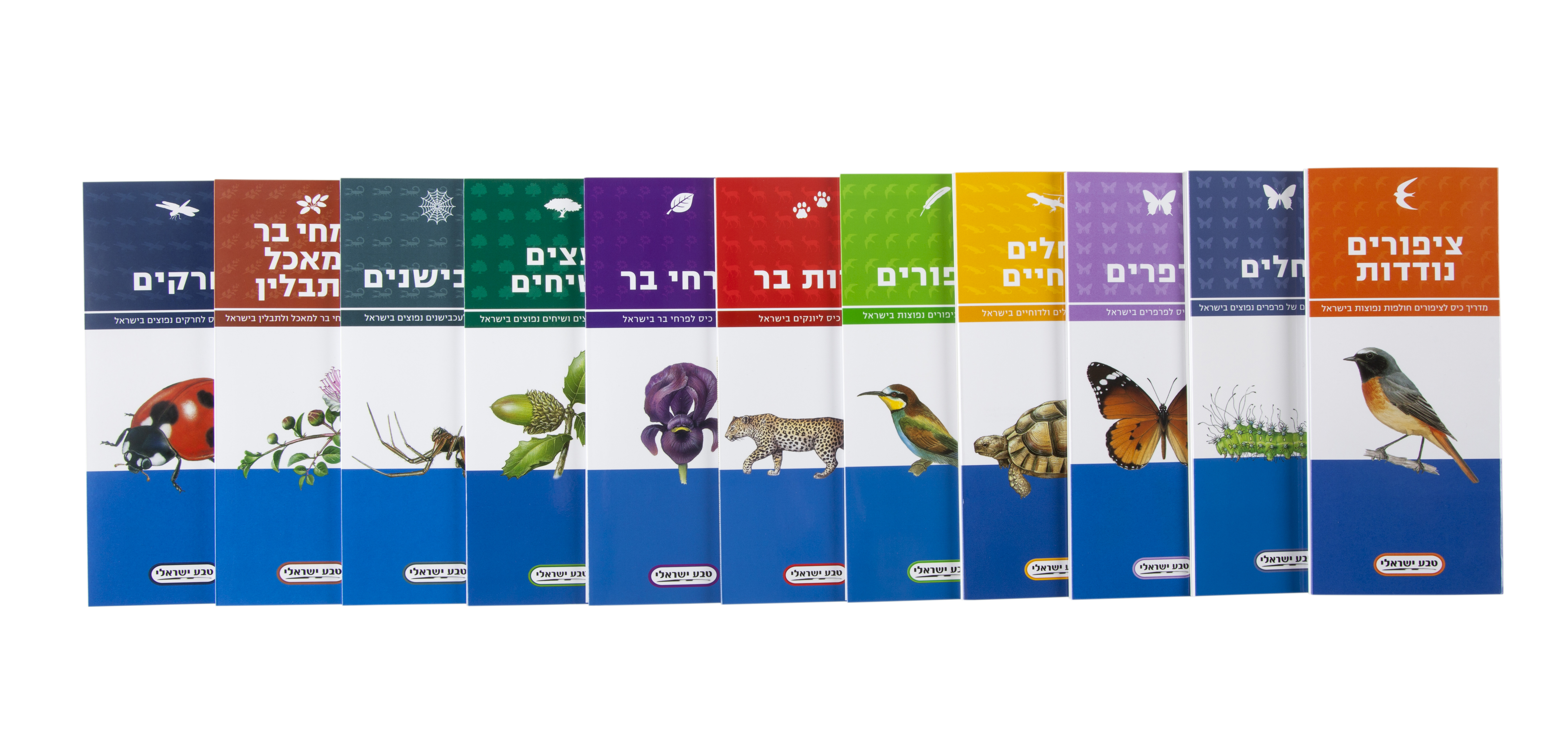 מדריך כיס לפרחי בר בישראל