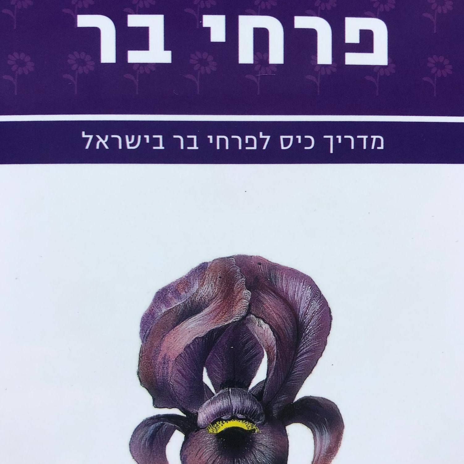 מדריך כיס לפרחי בר בישראל