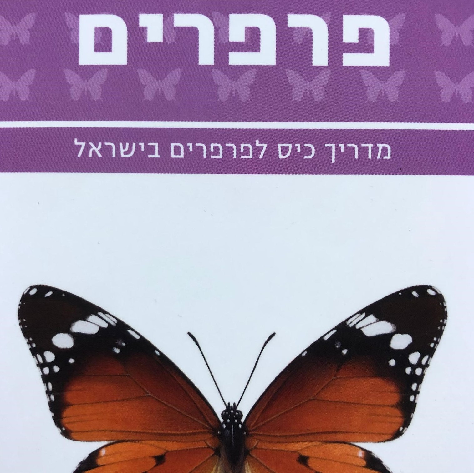 מדריך כיס לפרפרים בישראל