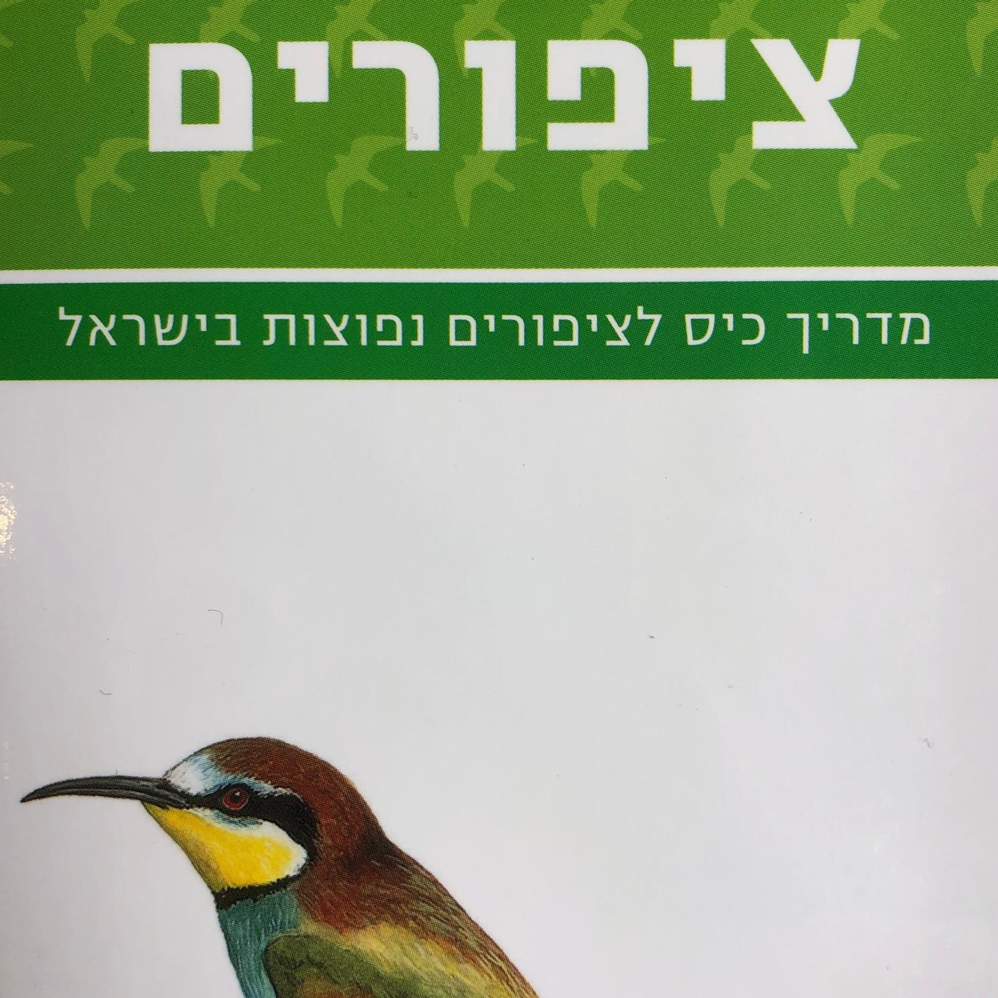 מדריך כיס לציפורים בישראל