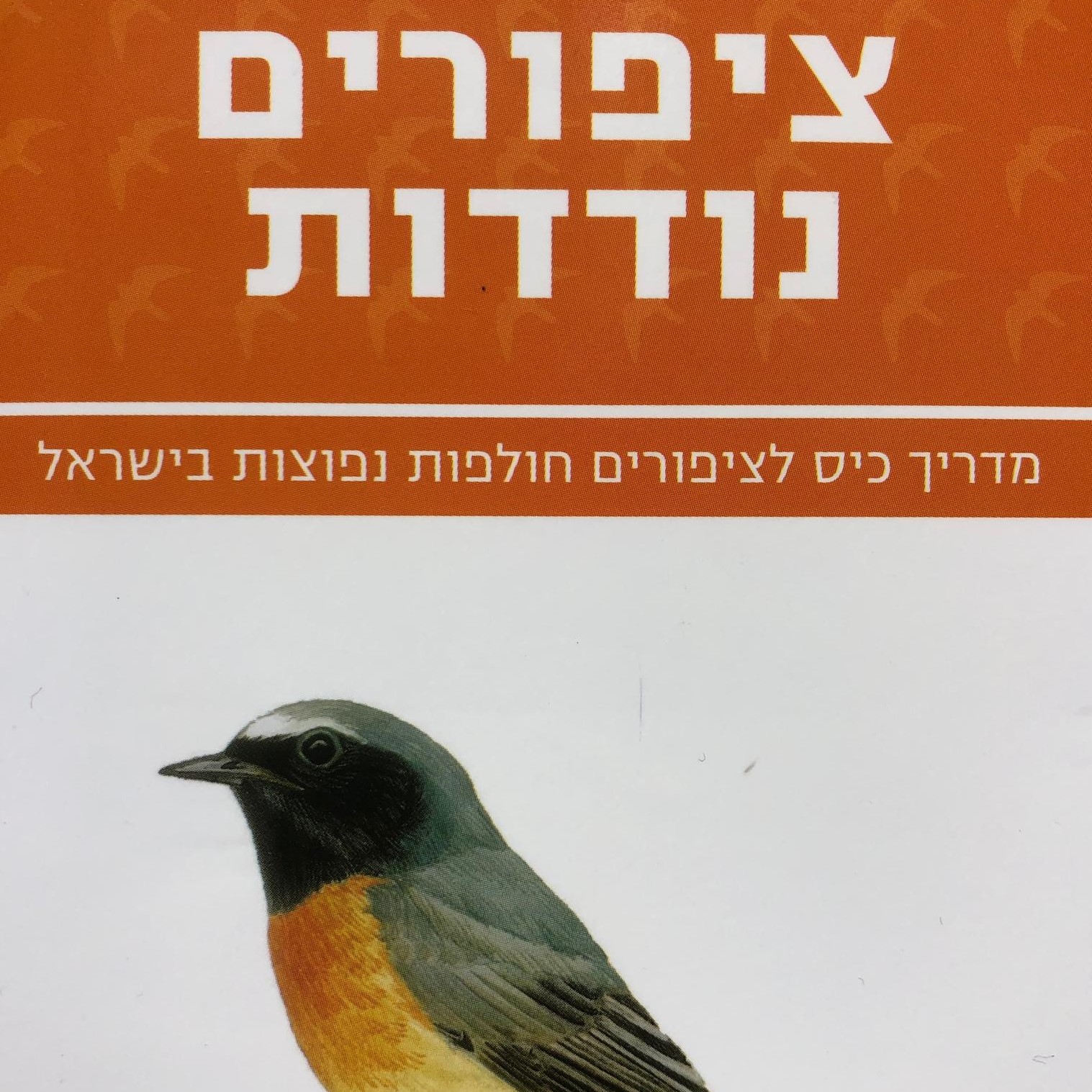 מדריך כיס לציפורים נודדות בישראל