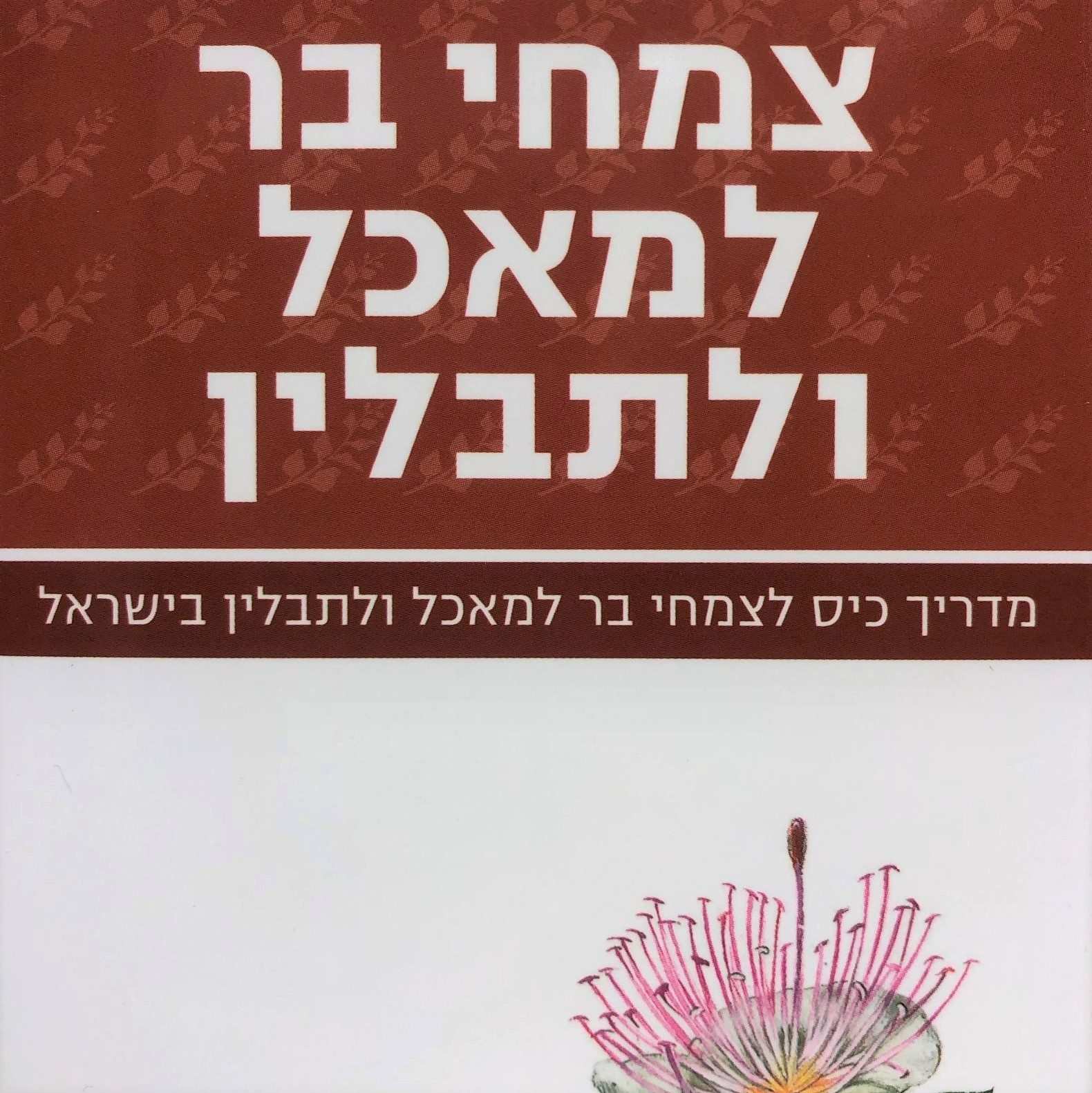 מדריך כיס לצמחי בר למאכל ולתבלין בישראל
