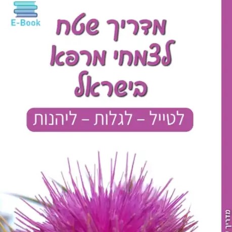 מדריך שטח לצמחי מרפא בישראל