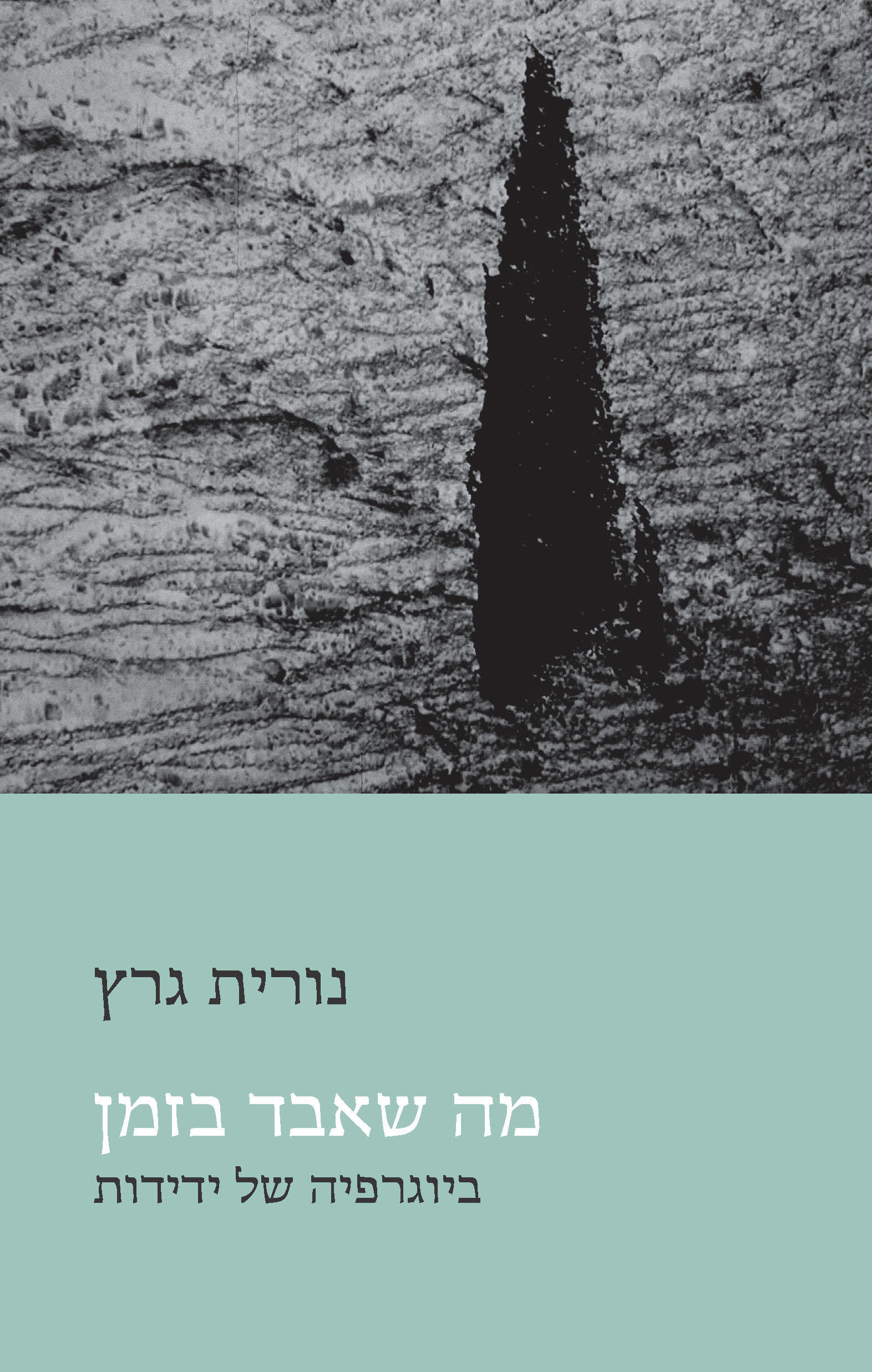מה שאבד בזמן ביוגרפיה של ידידות