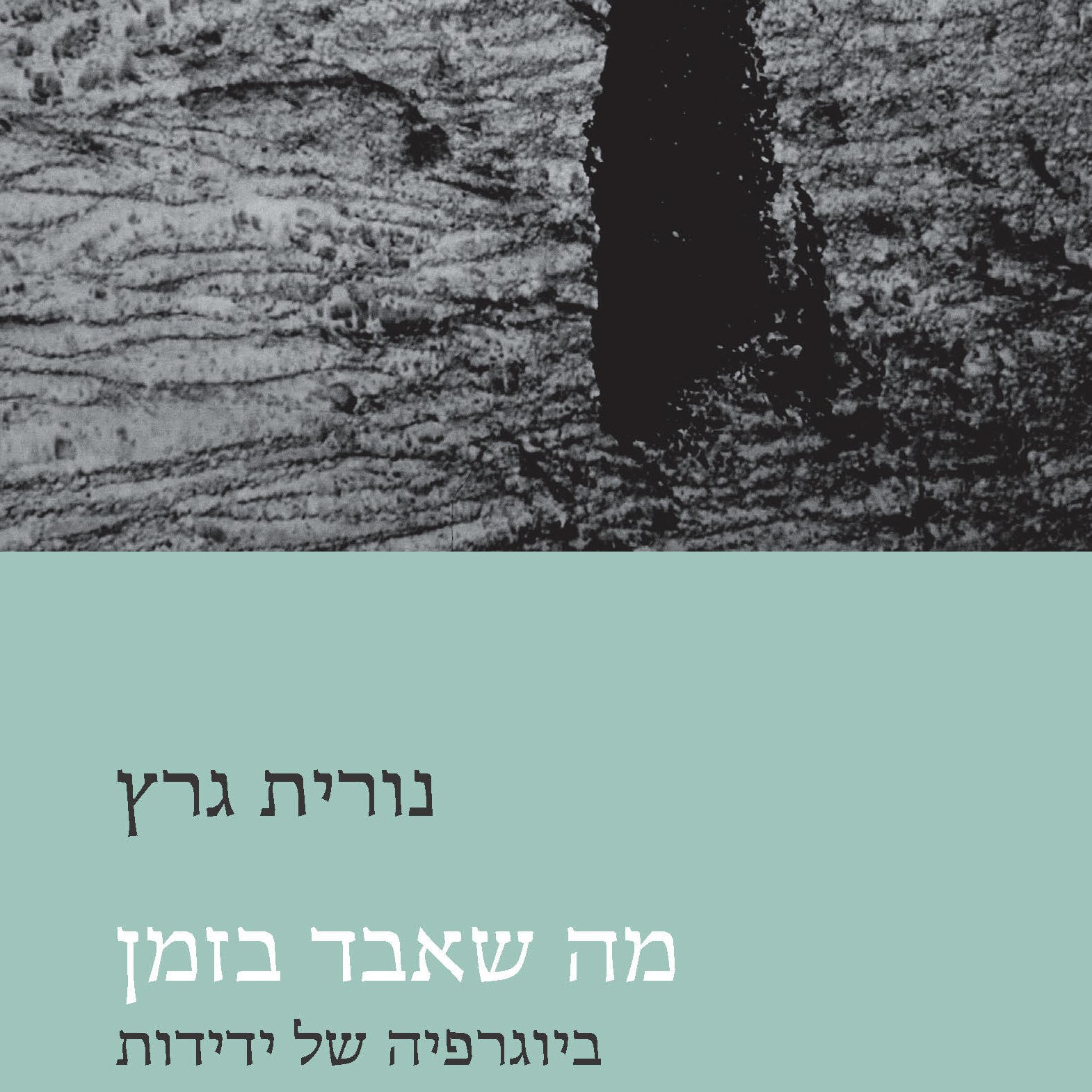 מה שאבד בזמן ביוגרפיה של ידידות