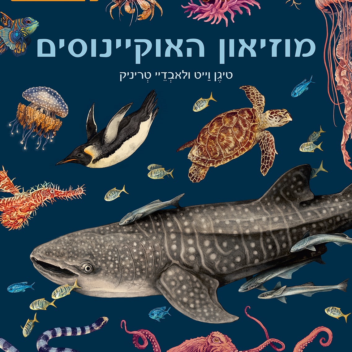 מוזיאון האוקיינוסים