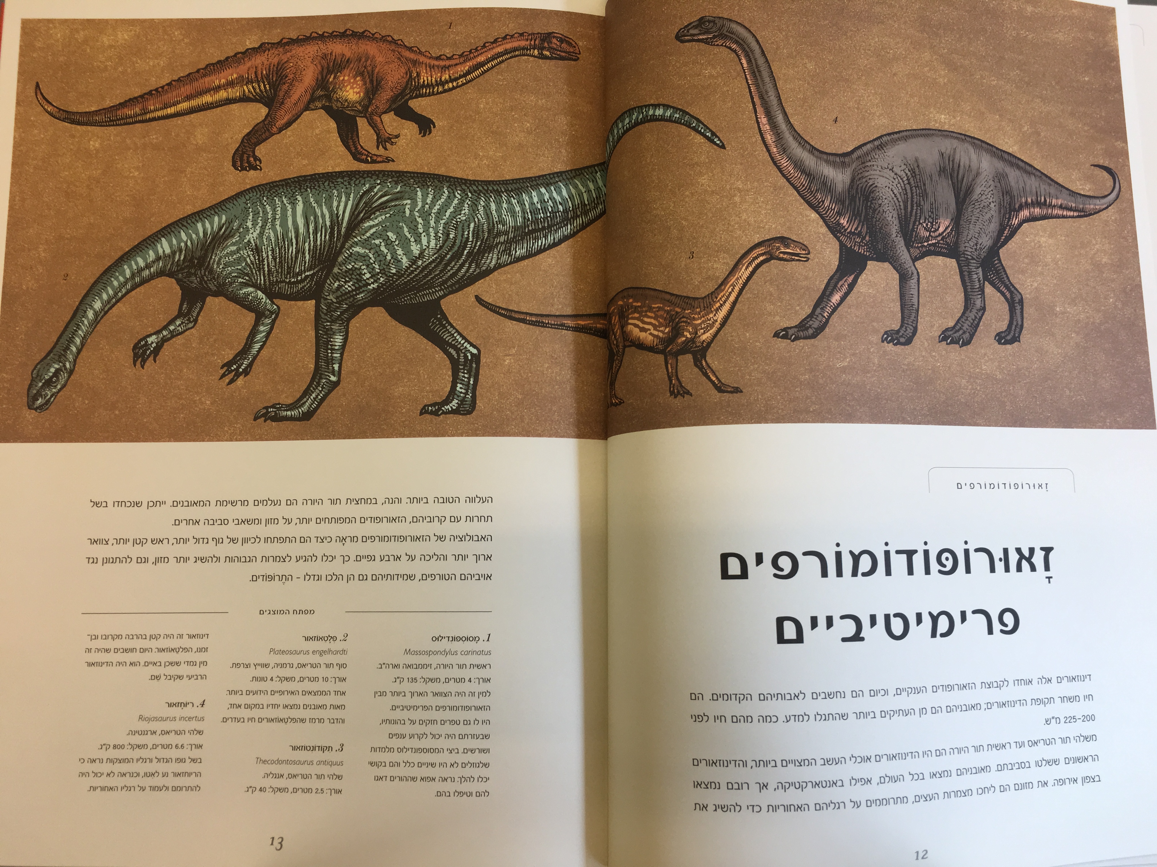 מוזיאון הדינוזאורים