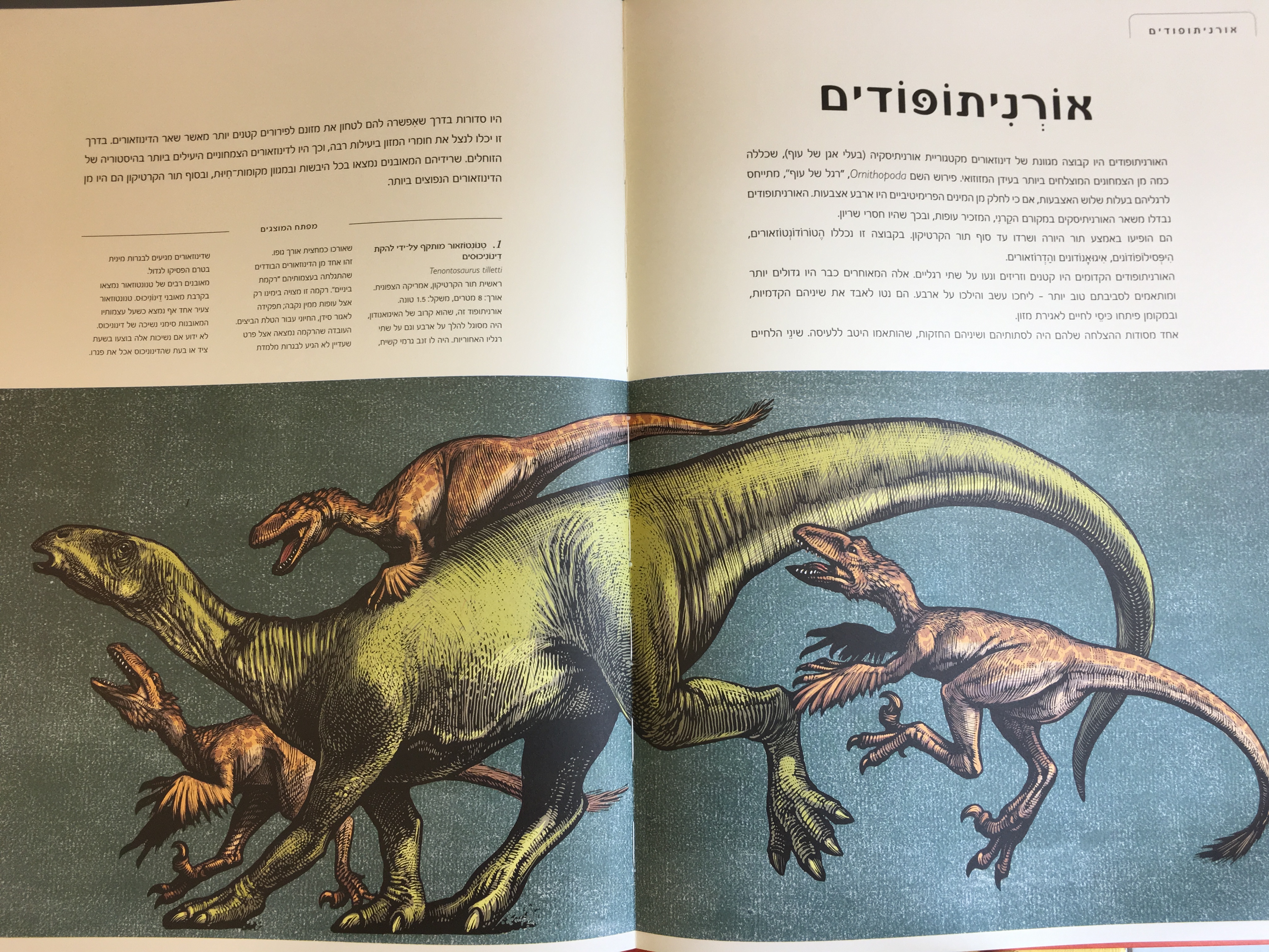 מוזיאון הדינוזאורים